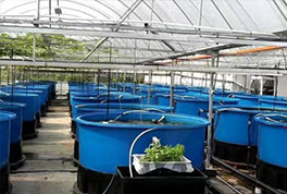 水產(chǎn)養(yǎng)殖用水源熱泵，恒溫冷暖兩用，耗電低